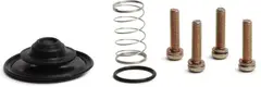 All Balls Bensinkran rep-sett, Diaphragm