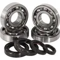 Hot Rods Veivlagersett AC/Kawa/Suzuki DVX/KLX/KFX/DRZ/LTZ400